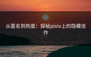从匿名到热度：探秘pixiv上的隐藏佳作