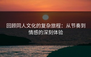 回顾同人文化的复杂旅程：从节奏到情感的深刻体验