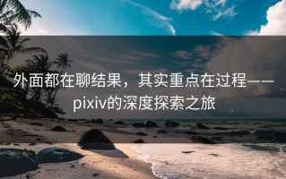 外面都在聊结果，其实重点在过程——pixiv的深度探索之旅