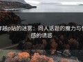 穿越p站的迷雾：同人话题的魔力与情感的诱惑