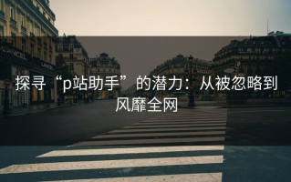探寻“p站助手”的潜力：从被忽略到风靡全网