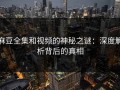 麻豆全集和视频的神秘之谜：深度解析背后的真相