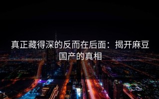 真正藏得深的反而在后面：揭开麻豆国产的真相