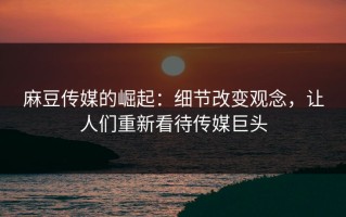 麻豆传媒的崛起：细节改变观念，让人们重新看待传媒巨头