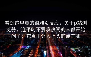 看到这里真的很难没反应，关于p站浏览器，连平时不爱凑热闹的人都开始问了：它真正让人上头的点在哪