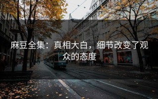 麻豆全集：真相大白，细节改变了观众的态度