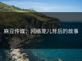 麻豆传媒：网络宠儿背后的故事
