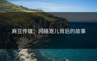 麻豆传媒：网络宠儿背后的故事