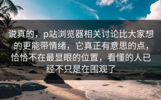 说真的，p站浏览器相关讨论比大家想的更能带情绪，它真正有意思的点，恰恰不在最显眼的位置，看懂的人已经不只是在围观了