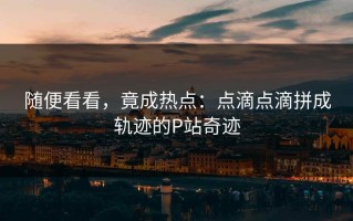 随便看看，竟成热点：点滴点滴拼成轨迹的P站奇迹