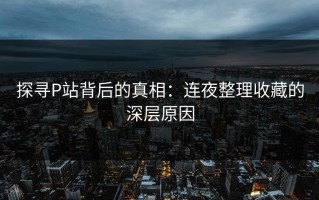 探寻P站背后的真相：连夜整理收藏的深层原因