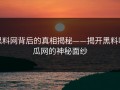 黑料网背后的真相揭秘——揭开黑料吃瓜网的神秘面纱