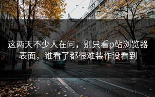 这两天不少人在问，别只看p站浏览器表面，谁看了都很难装作没看到