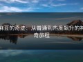 麻豆的奇迹：从普通到热度飙升的神奇旅程