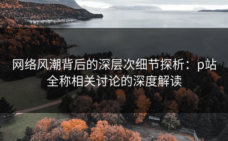 网络风潮背后的深层次细节探析：p站全称相关讨论的深度解读-第1张图片-p站网页版视频站 | p站镜像资源页